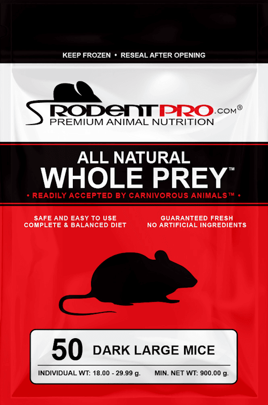 Frozen Large Dark Mice 50ct for Sale: Shop Online RodentPro